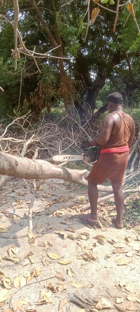 நியூ திருச்சி டைம்ஸ் செய்தி எதிரொலி திருப்பராய்த்துறை சமத்துவ சுடுகாட்டிற்கு செல்வதற்கான பாதை சரி செய்யப்படுகிறது- உடனடி நடவடிக்கை எடுத்த அரசு அதிகாரிகளுக்கும் தமிழக அரசிற்கும் துணை நின்ற பொதுமக்களுக்கும் நெஞ்சார்ந்த நன்றி